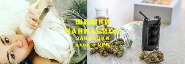 сатива Волгодонск