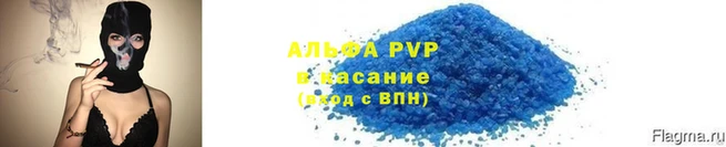 тгк Майский