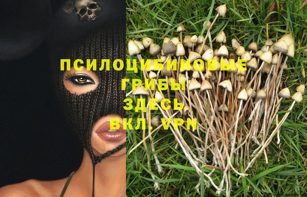 apvp Магадан