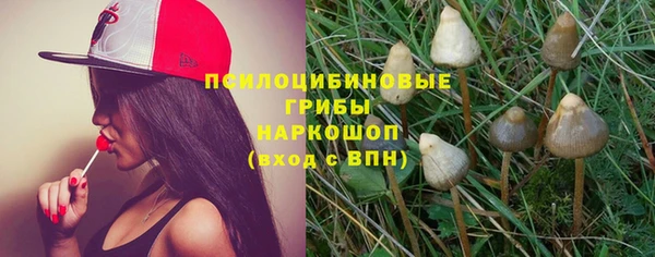 apvp Магадан