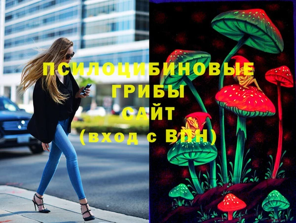 apvp Магадан