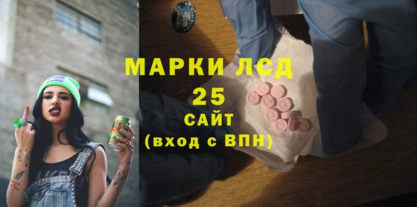 apvp Магадан
