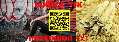 не бодяженный Гай