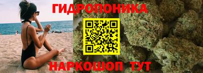 ALPHA PVP Гатчина