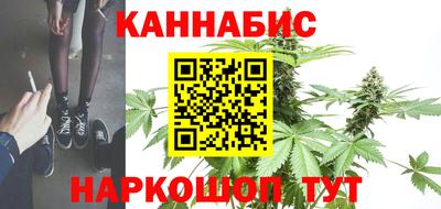 не бодяженный Гай