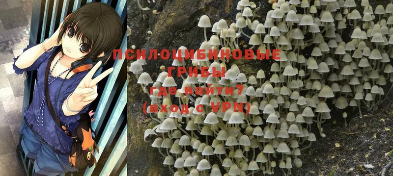 Псилоцибиновые грибы Magic Shrooms  OMG ТОР  Жуковский 