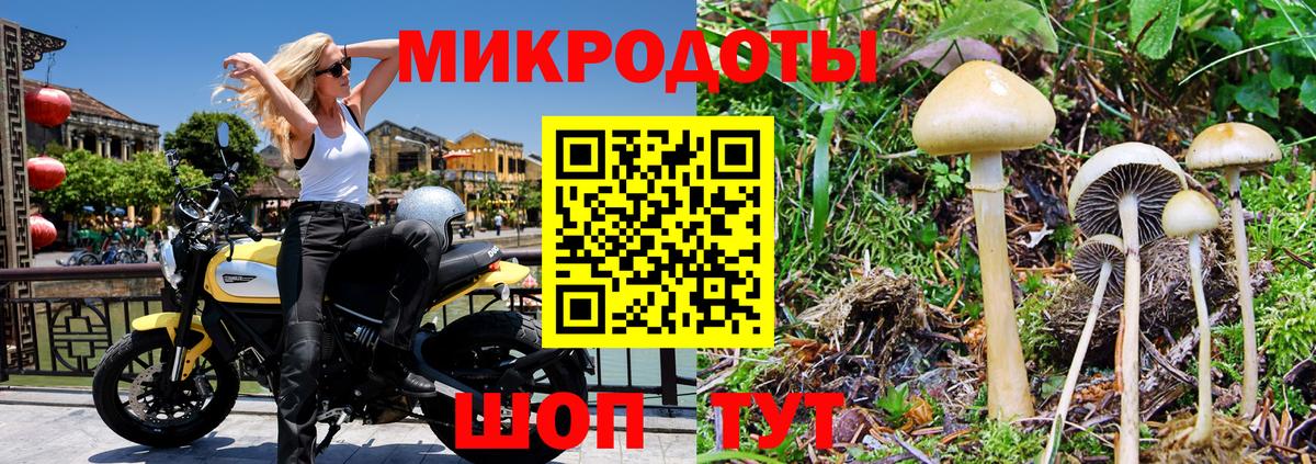 Жуковский  Псилоцибиновые грибы GOLDEN TEACHER  хочу   Псилоцибиновые грибы Psilocybe  Вход с VPN 