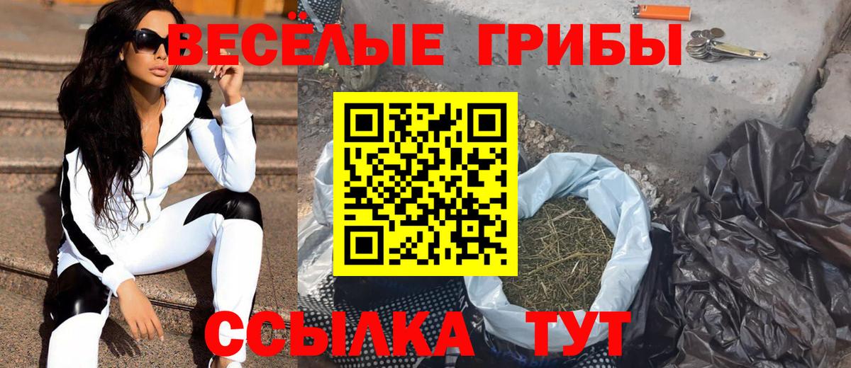 Галлюциногенные грибы GOLDEN TEACHER Жуковский