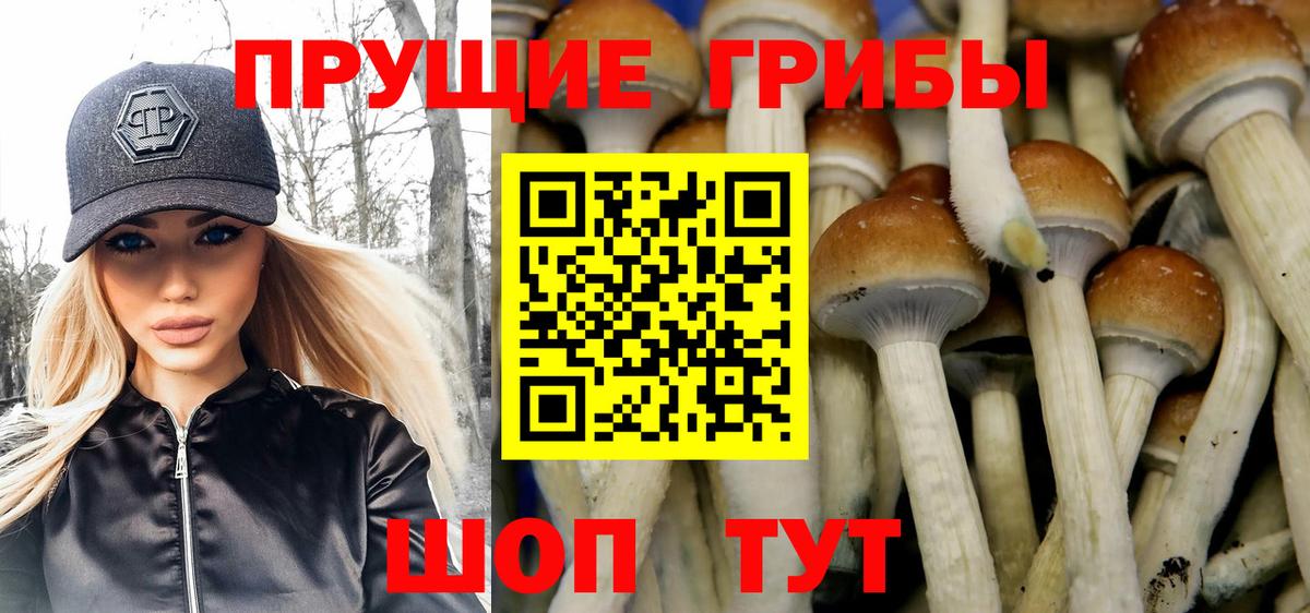МЕФ  Жуковский  КОКАИН  Меф   Вход с VPN  Конопля  Cocaine 